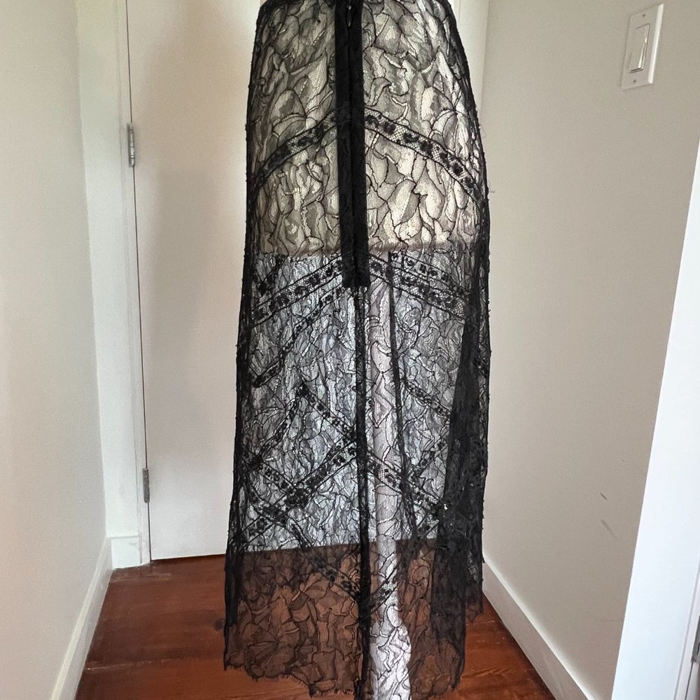 Chanel Cruise handmade lace and sequin sheer skirt Size 38 US 4/6/S - Picture 7 of 16